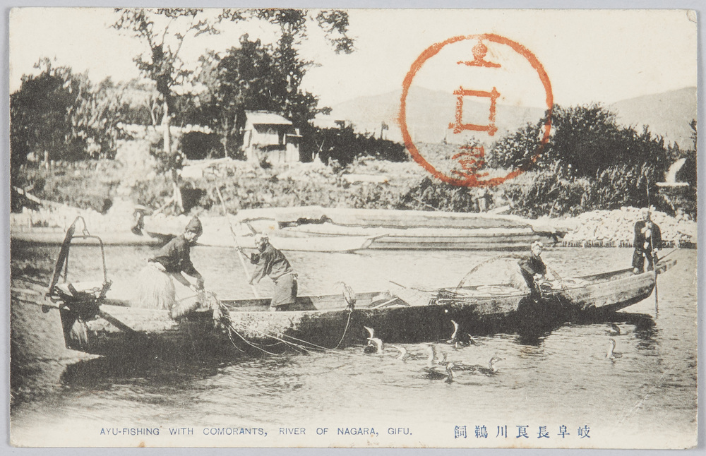 作品画像:岐阜長良川鵜飼