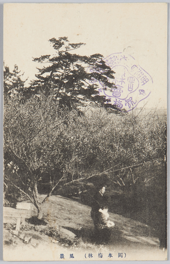 作品画像:(岡本梅林)風景