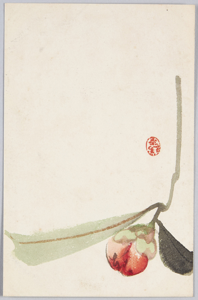 作品画像:花のつぼみ