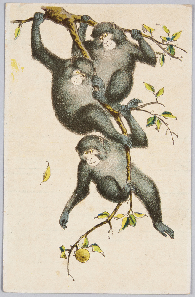 作品画像:3匹の猿