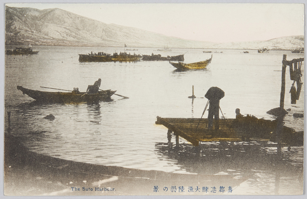 作品画像:寿都港鰊大漁陸揚の景