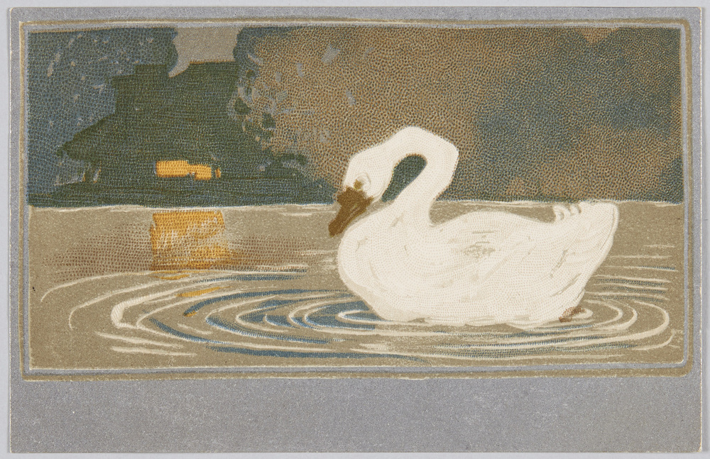 作品画像:夜の白鳥