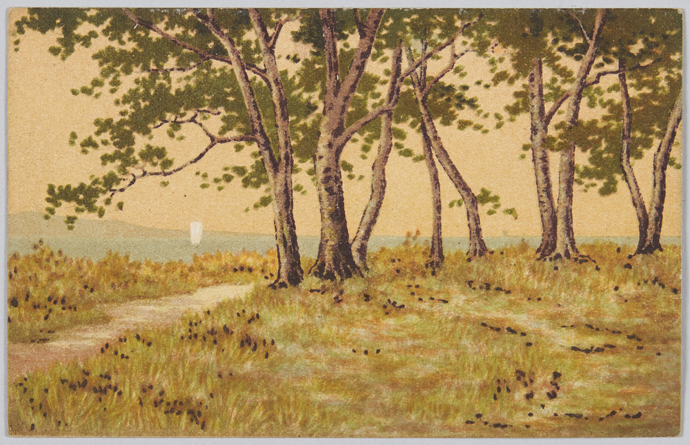 作品画像:湖畔の林