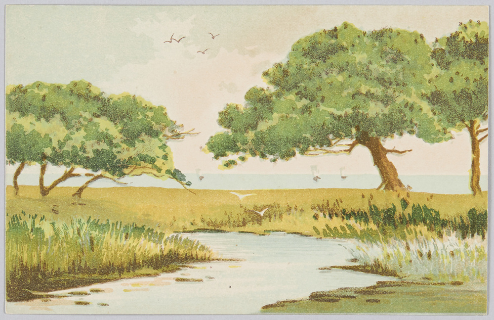 作品画像:水辺風景