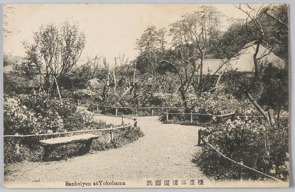 作品画像:横浜三溪園躑躅