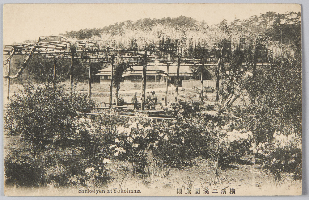 作品画像:横浜三溪園藤棚