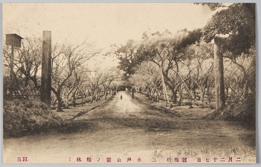 作品画像:二月二十七日 観梅行 三 水戸公園ノ梅林1