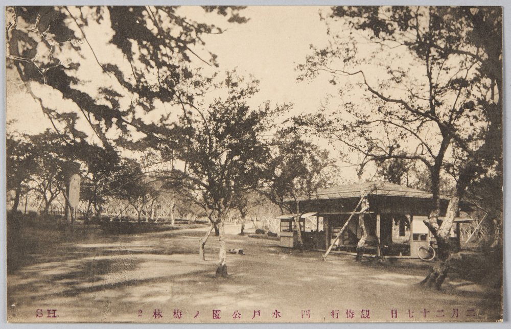 作品画像:二月二十七日 観梅行 四 水戸公園ノ梅林2