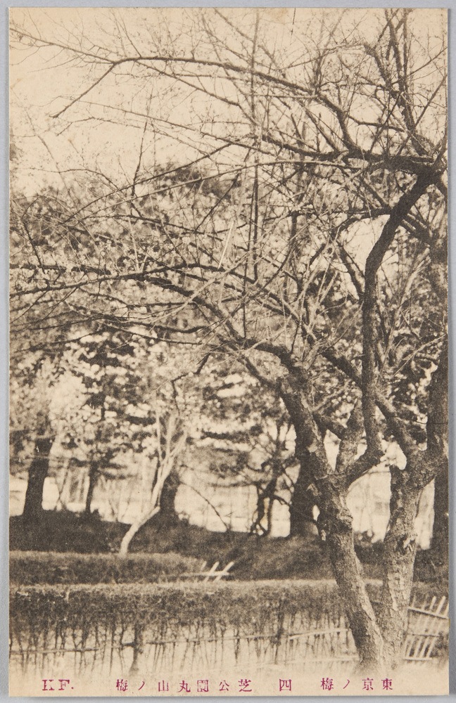 作品画像:東京ノ梅 四 芝公園丸山ノ梅