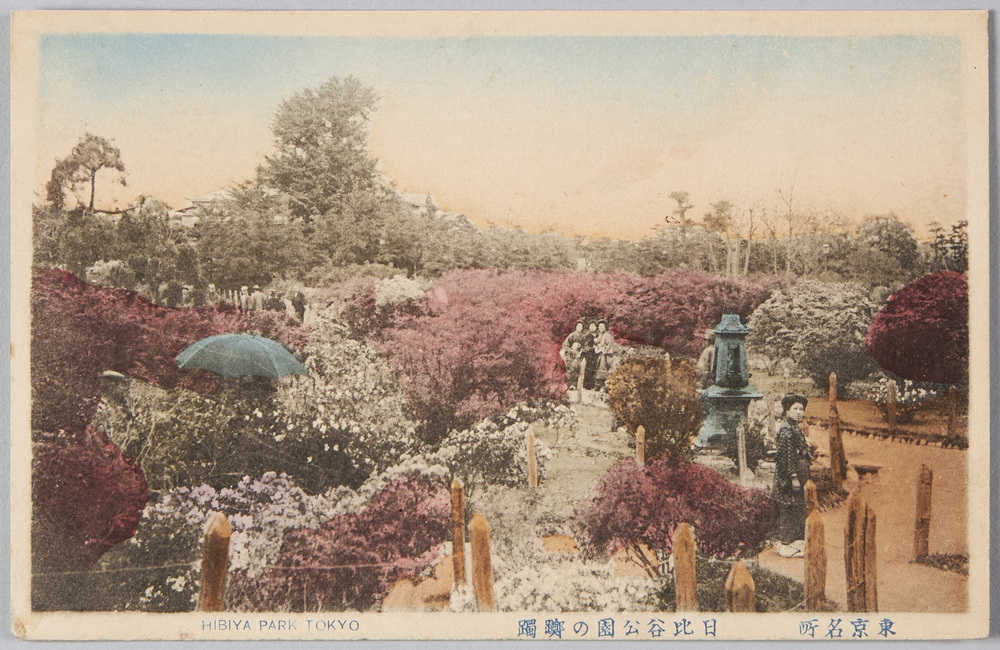 作品画像:日比谷公園のつつじ