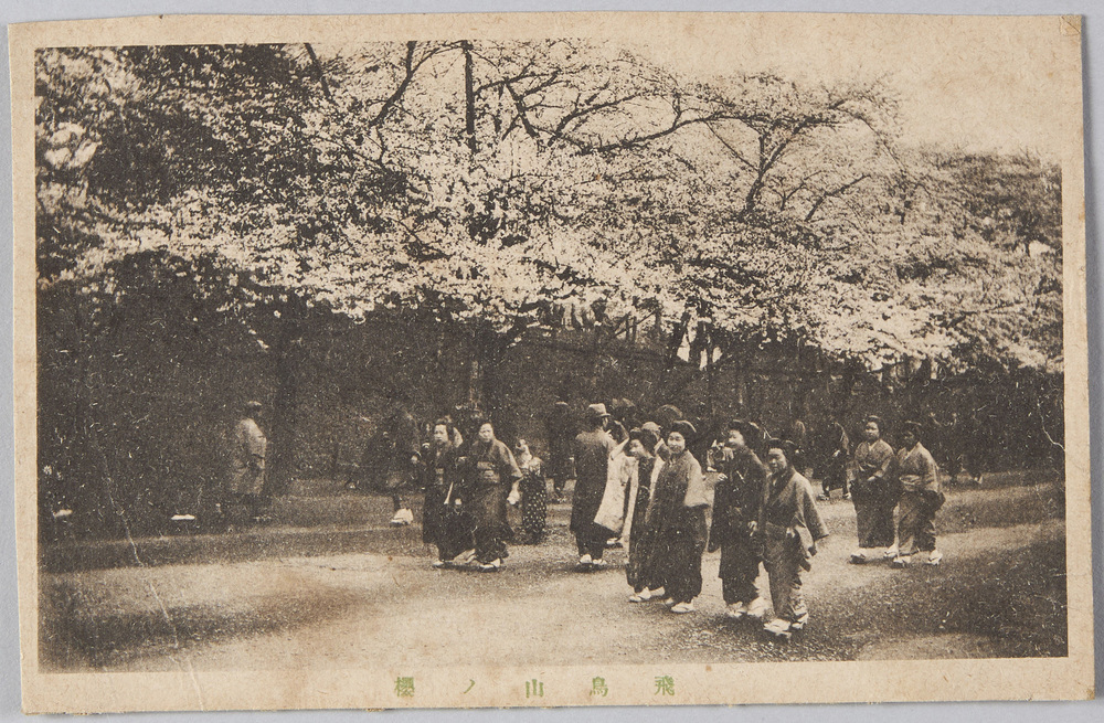 作品画像:飛鳥山ノ桜