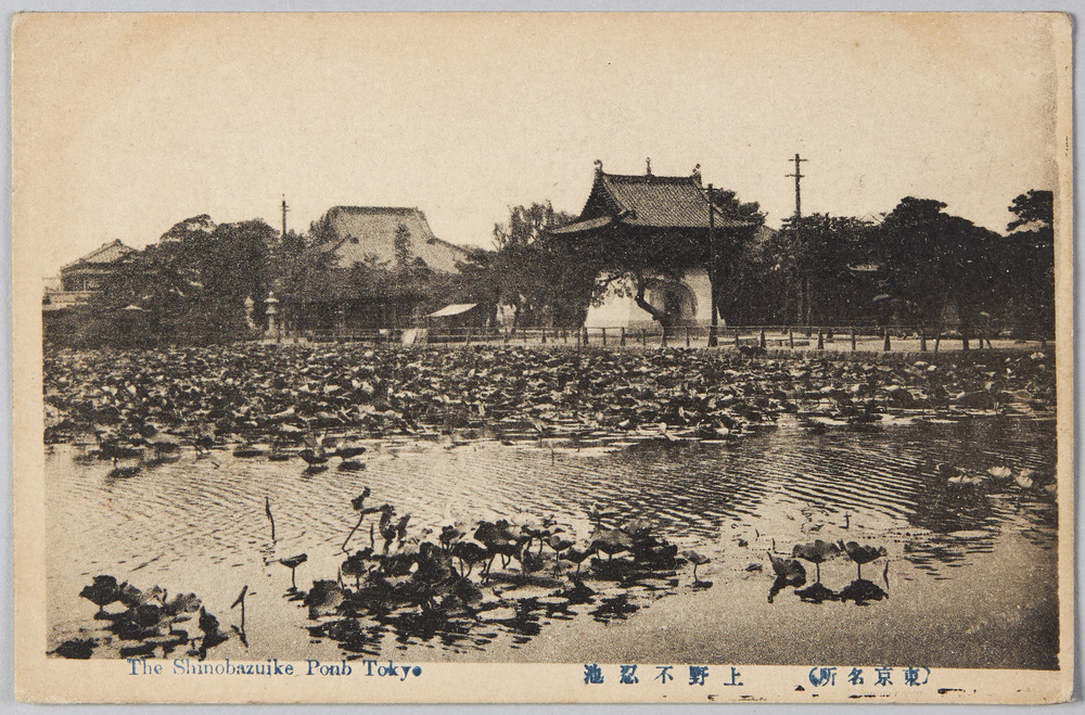 作品画像:上野不忍池