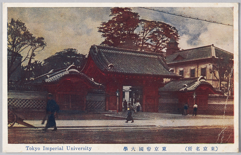 作品画像:東京帝国大学