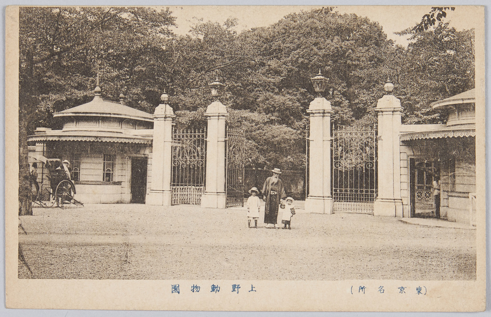 作品画像:上野動物園