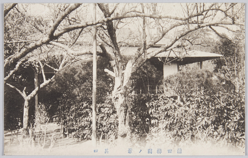 作品画像:蒲田梅園(其四)