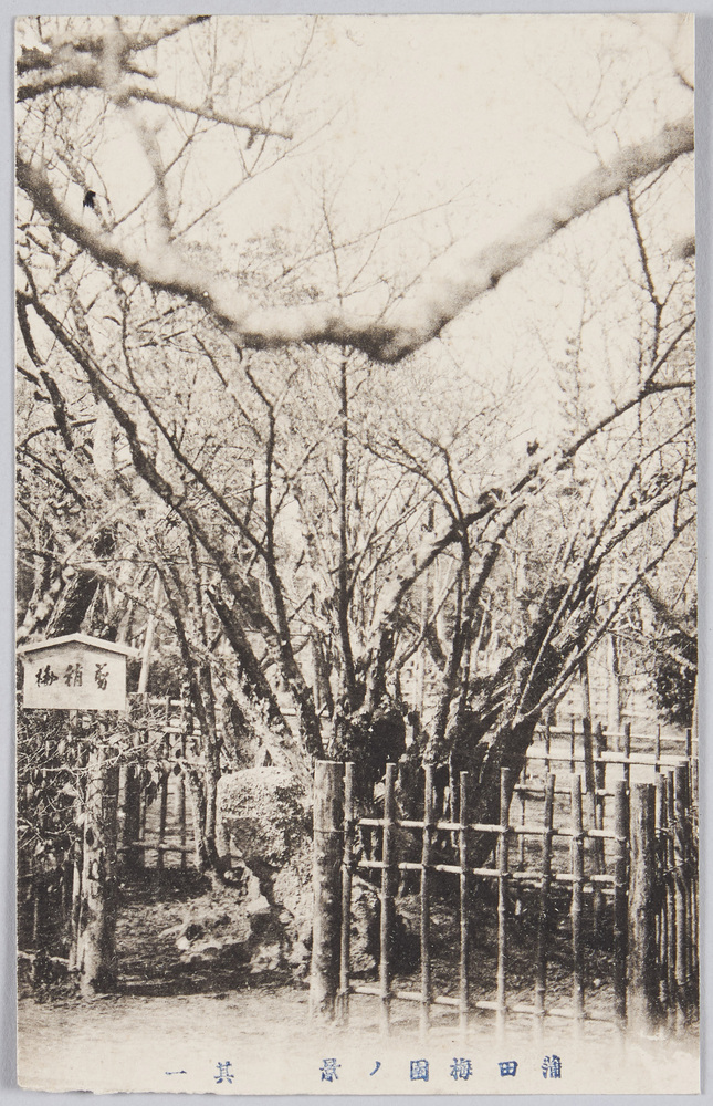 作品画像:蒲田梅園(其一)