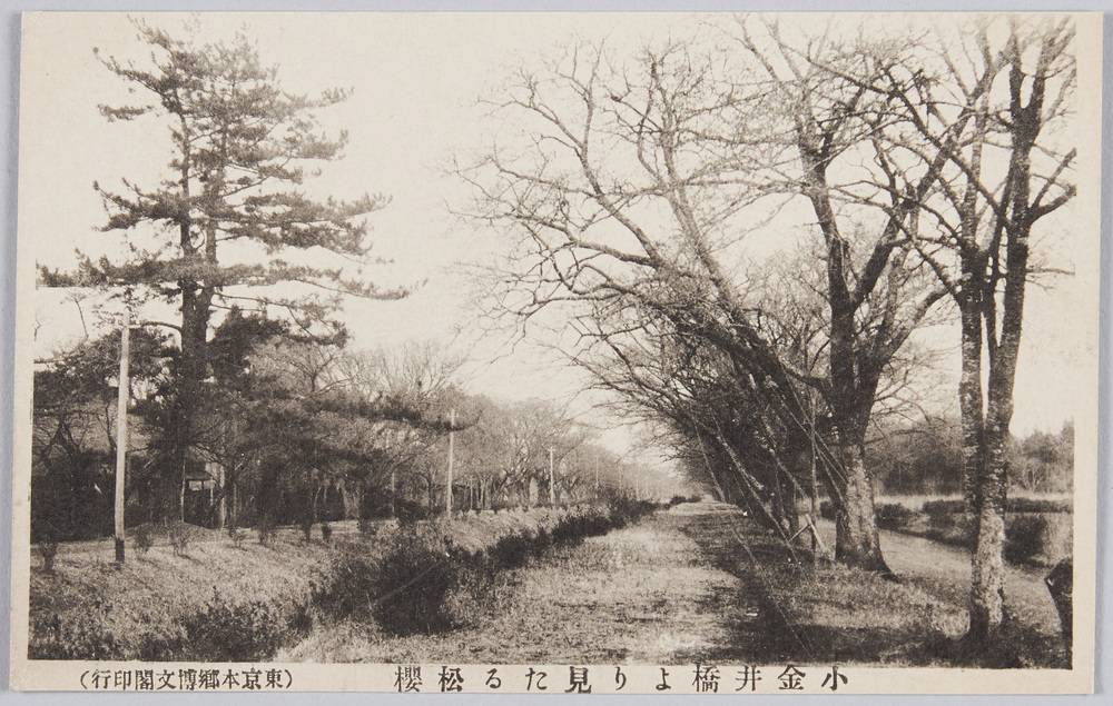 作品画像:小金井橋