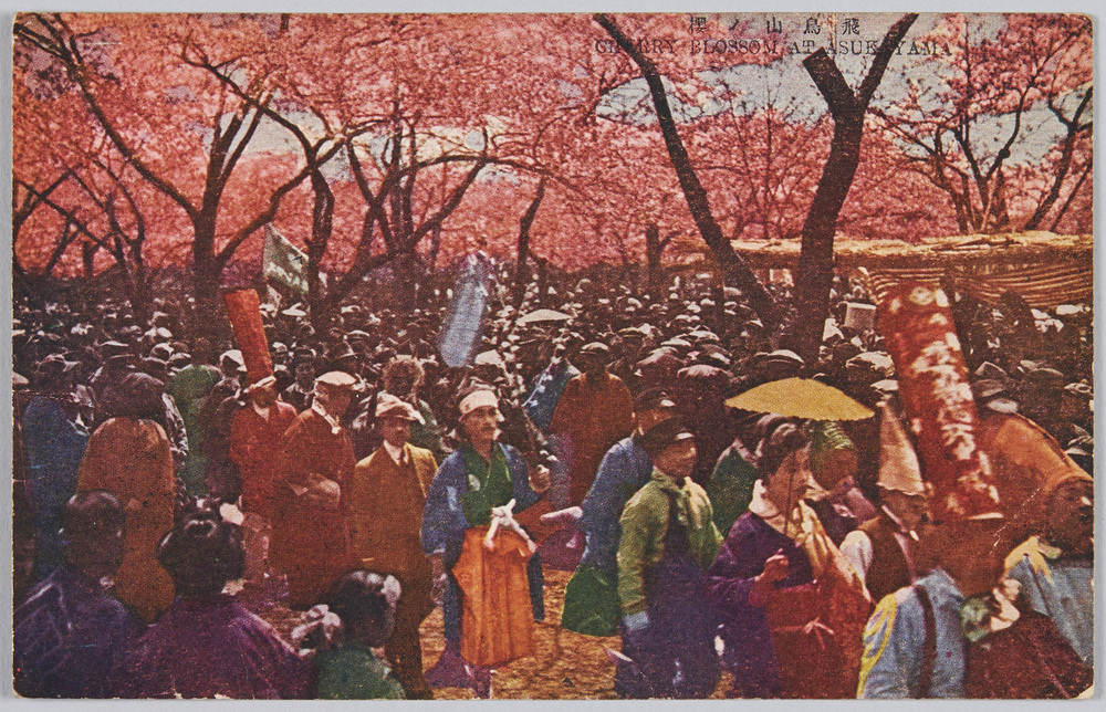 作品画像:飛鳥山の桜
