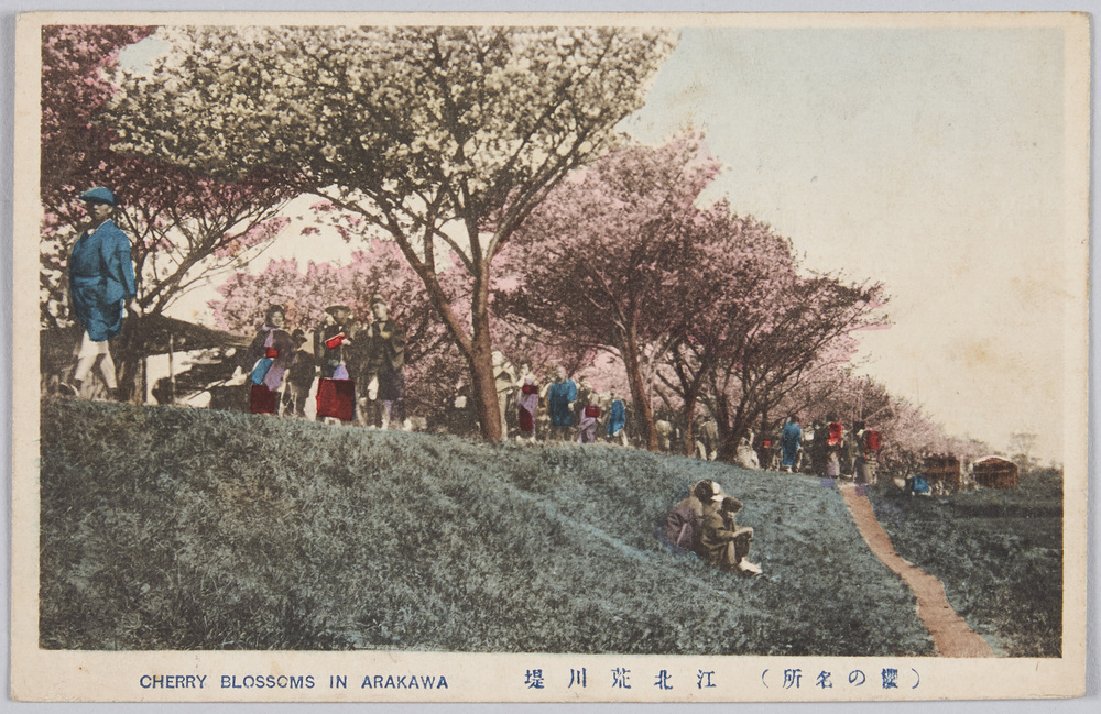 作品画像:荒川堤