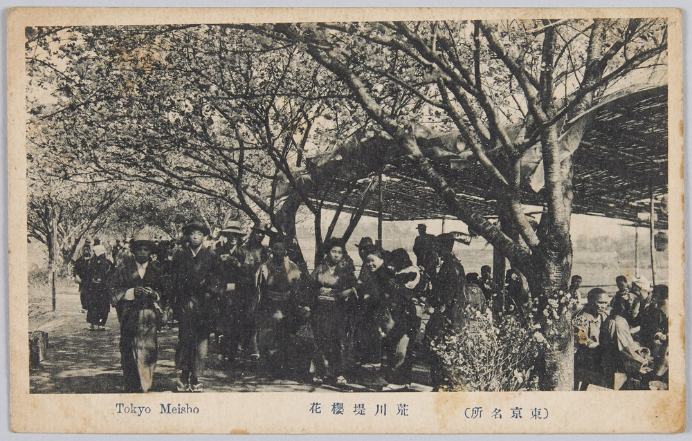 作品画像:荒川堤