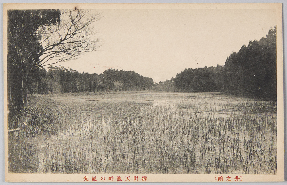 作品画像:弁財天池畔(井の頭)