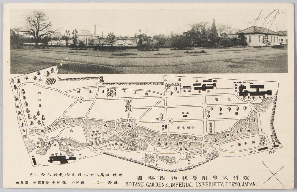 作品画像:理科大学附属植物園 案内図