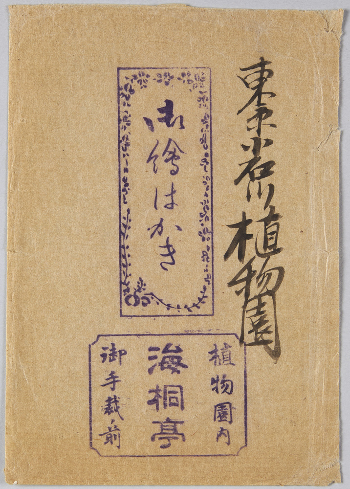 作品画像:小石川植物園