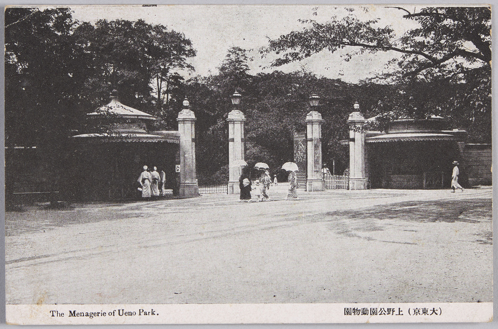作品画像:(大東京) 上野公園動物園