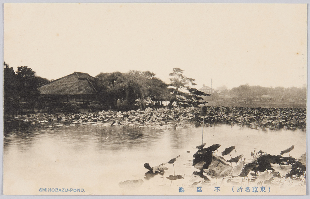 作品画像:(東京名所) 不忍池 SHINOBAZU-POND