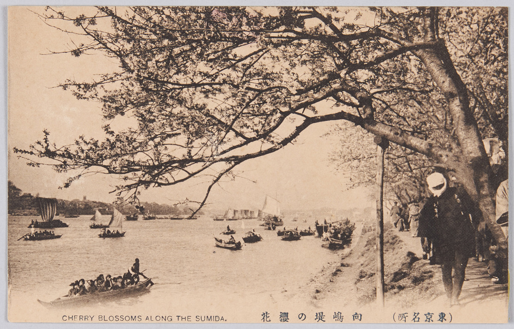 作品画像:(東京名所) 向嶋堤の櫻花 CHERRY BLOSSOMS ALONG THE SUMIDA.