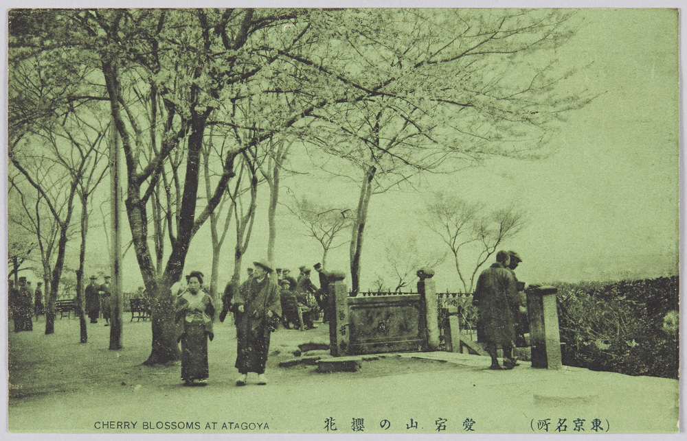 作品画像:(東京名所) 愛宕山の櫻花 CHERRY BLOSSOMS AT ATAGYA
