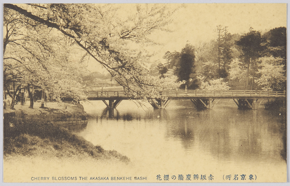 作品画像:(東京名所) 赤坂辨慶橋の櫻花 CHERRY BLOSSOMS THE AKASAKA BENKEI BASHI.