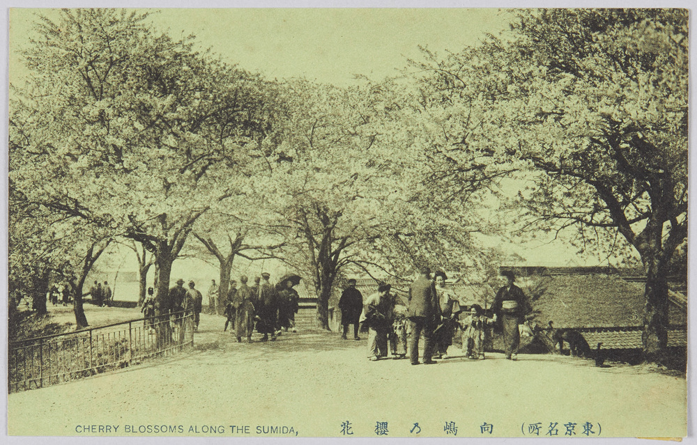 作品画像:(東京名所)向嶋乃櫻花 CHERRY BLOSSOMS ALONG THE SUMIDA,