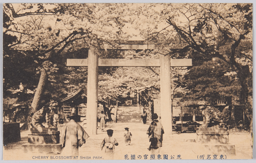 作品画像:(東京名所) 芝公園東照宮の櫻花 CHERRY BLOSSOMS AT SHIBA PARK.