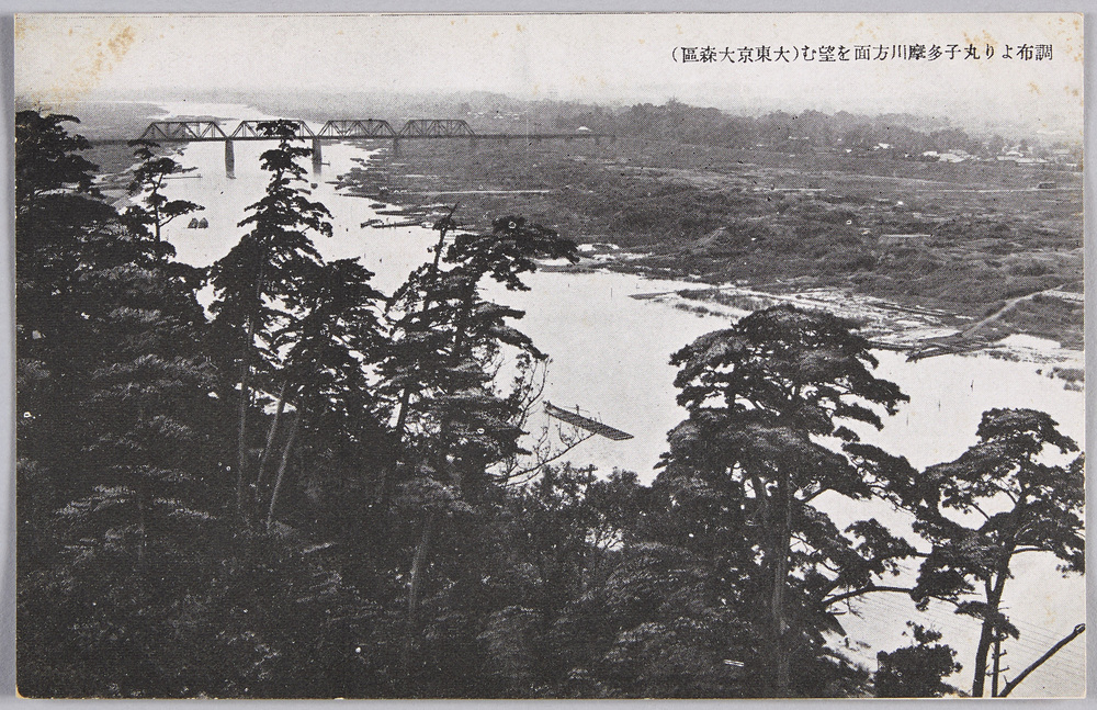 作品画像:調布市より丸子多摩川方面を望む(大東京大森区)