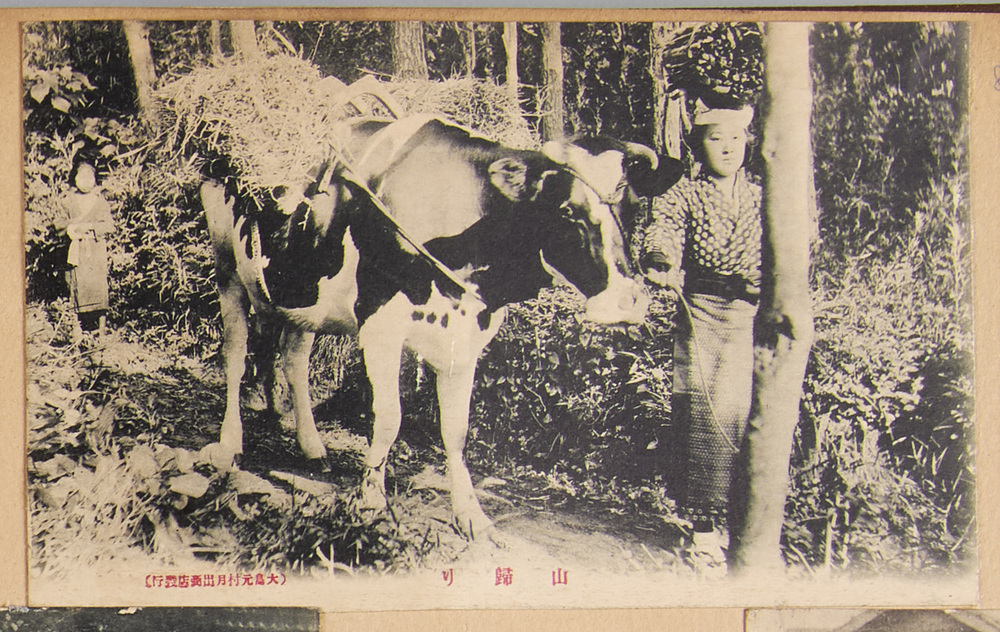 作品画像:山帰り(大島元村)