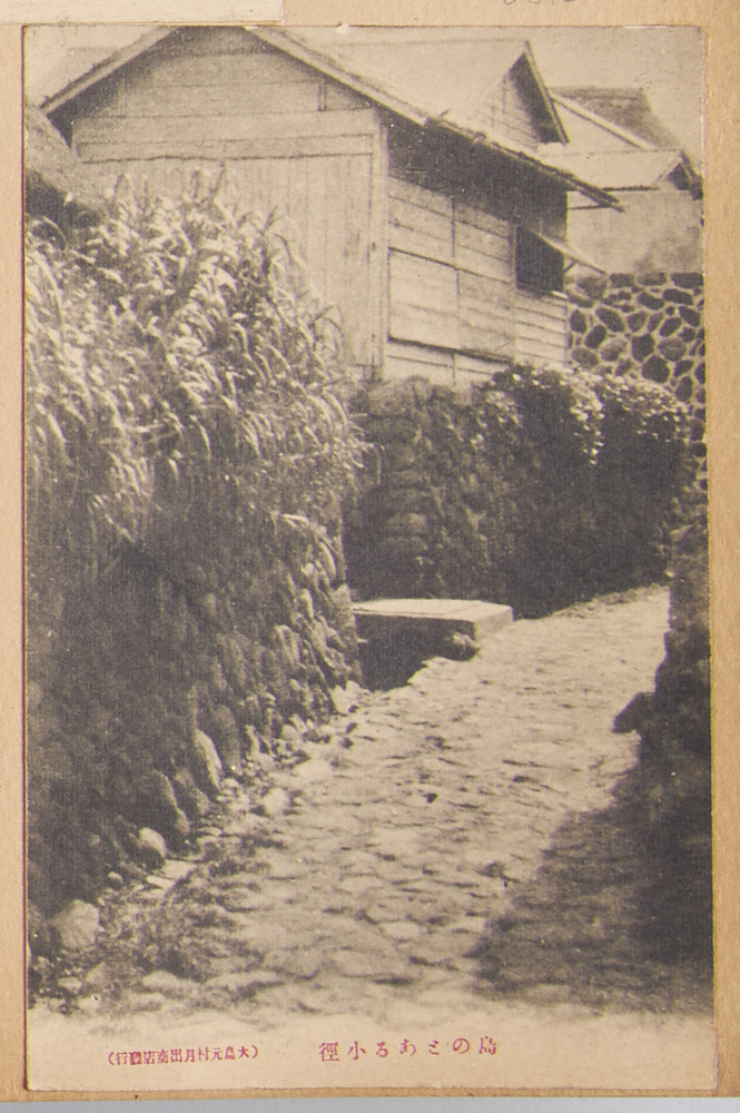作品画像:島のとある小徑(大島元村)