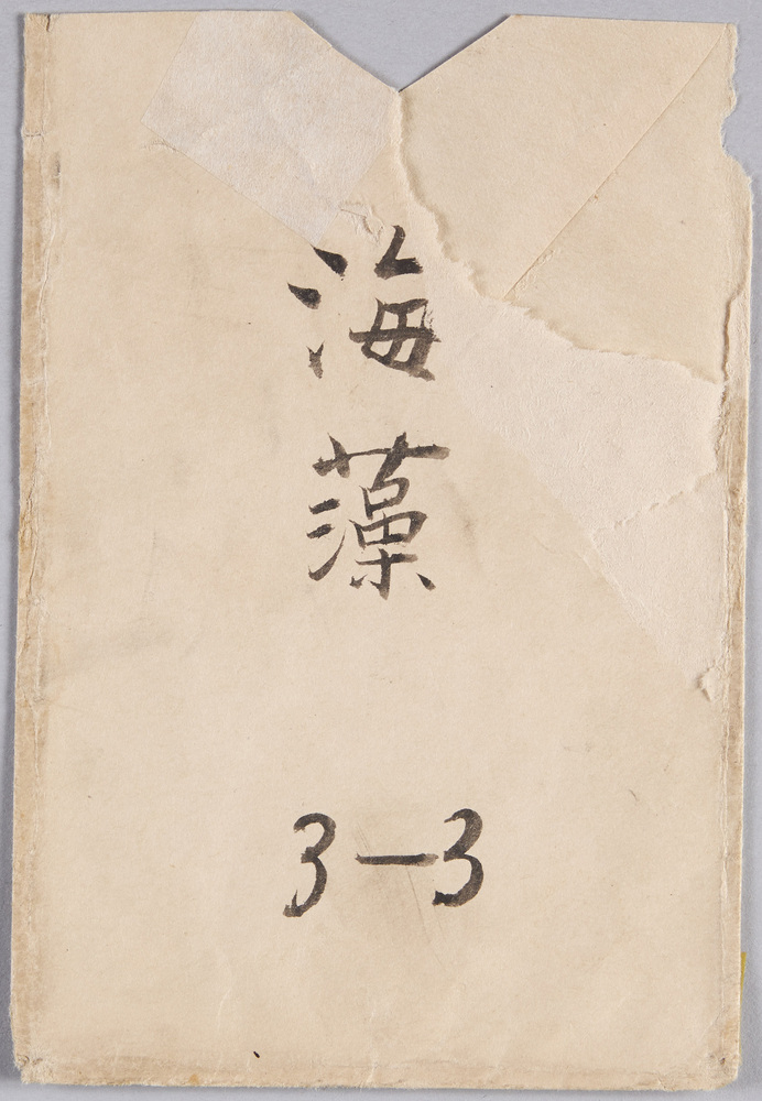 作品画像:絵葉書 袋 海藻