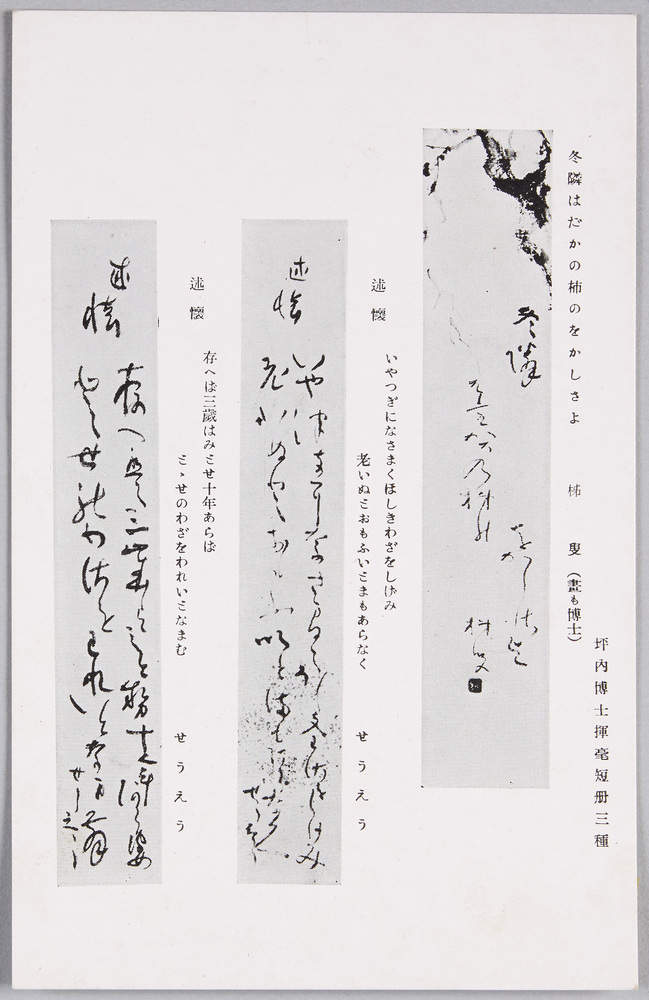 作品画像:坪内博士揮毫短冊三種
