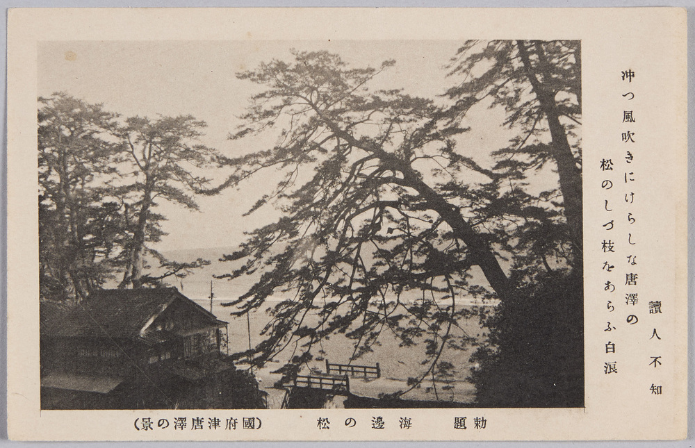 作品画像:勅題 海辺の松 (国府津唐沢の景)