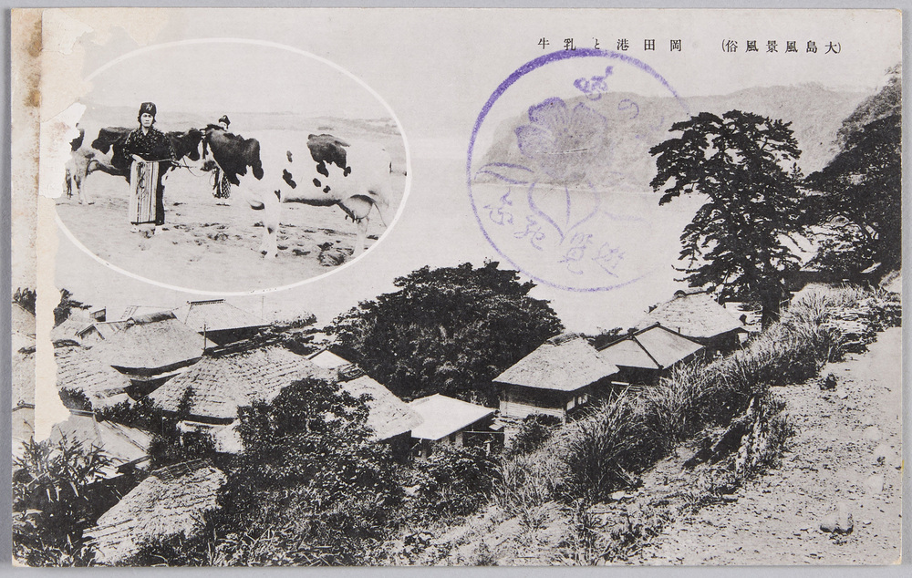 作品画像:(大島風景風俗)岡田港と乳牛