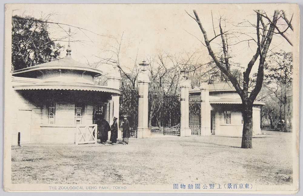 作品画像:(東京百景)上野公園動物園