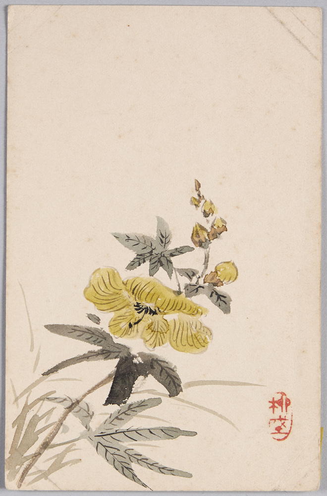 作品画像：[葵の花]