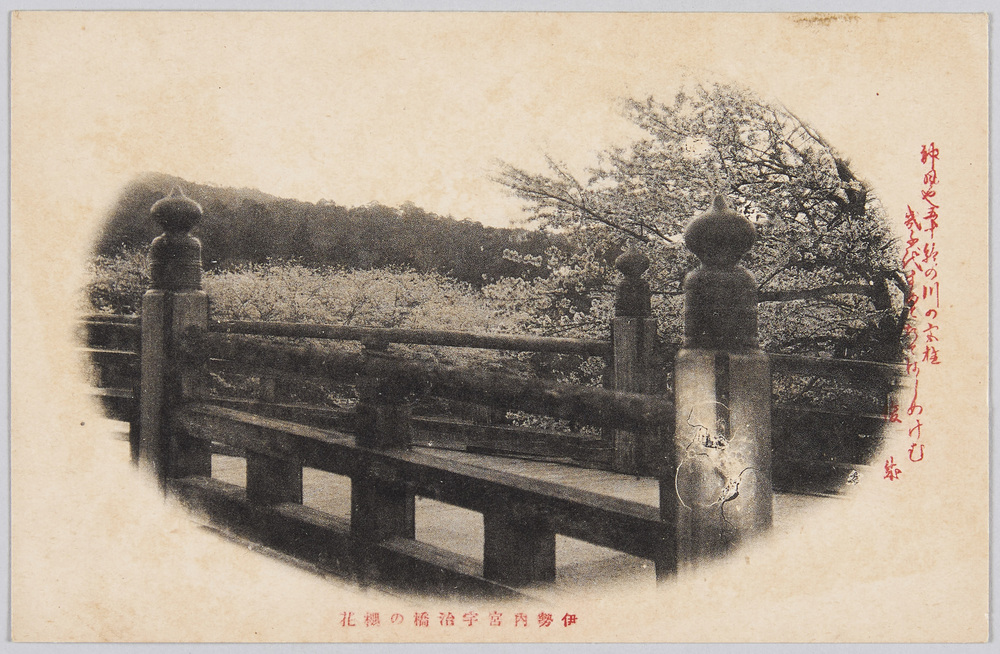 作品画像:伊勢内宮宇治橋の桜花