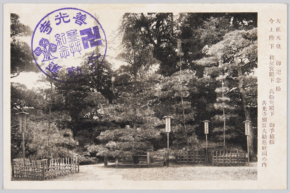 作品画像:大正天皇 御記念松 今上陛下秩父宮殿下 高松宮殿下 御手植松 善光寺別当大勧進庭園の内