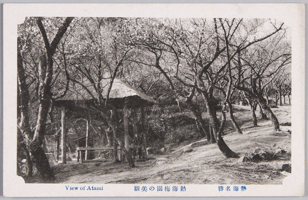 作品画像:熱海名勝 熱海梅園の美観