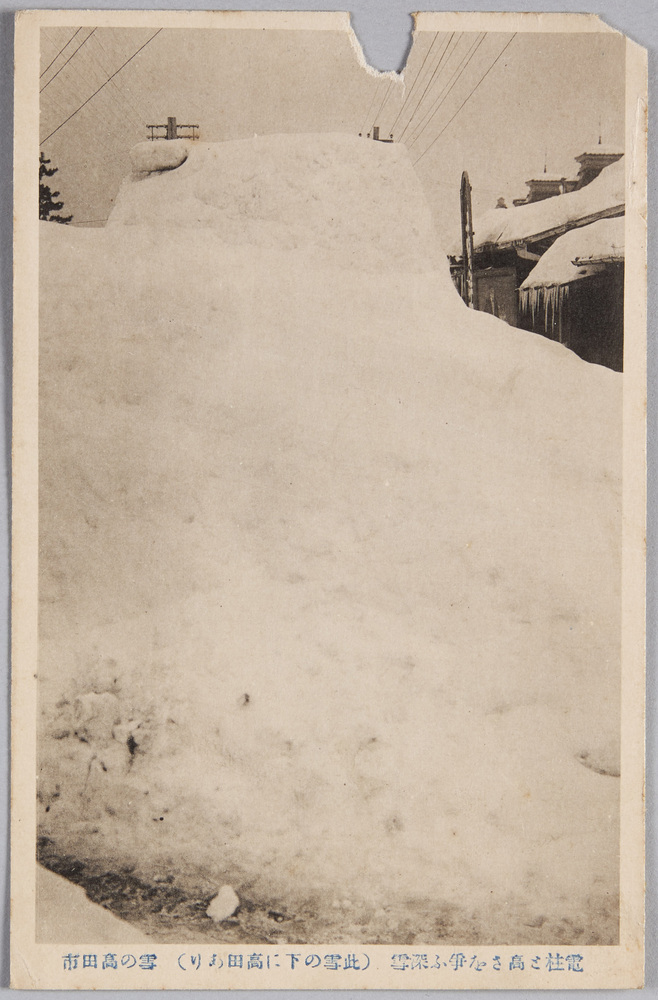 作品画像:電柱で高さを争ふ深雪 (此雪の下に高田あり) 雪の高田市