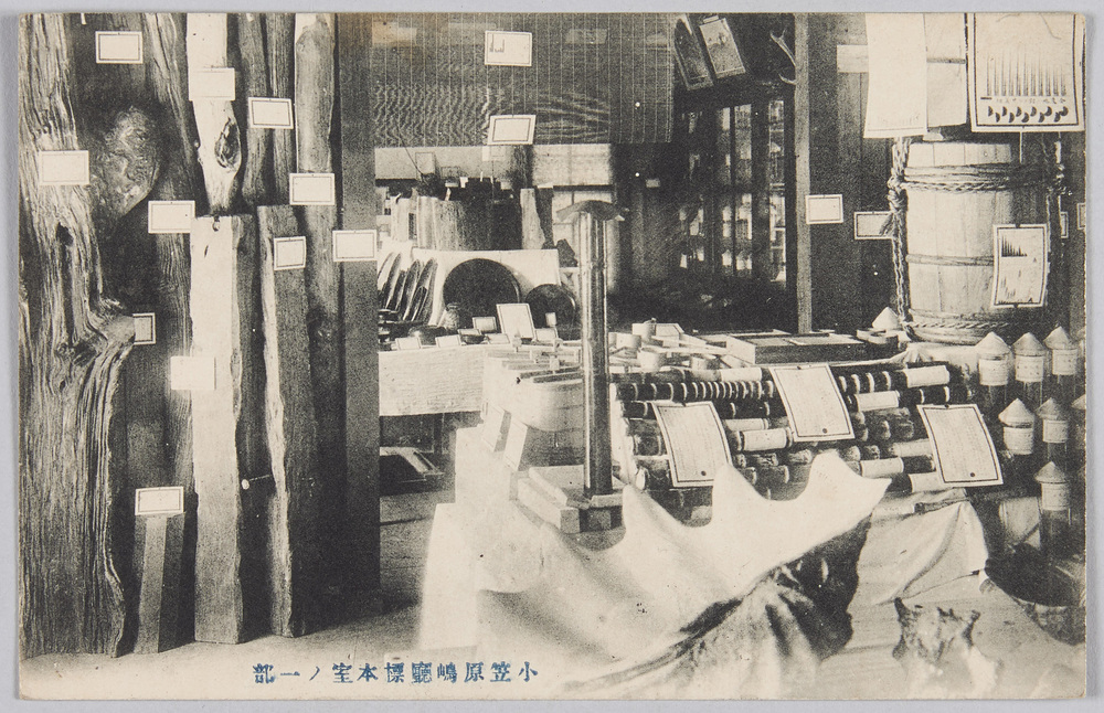 作品画像:小笠原島庁標本室ノ一部