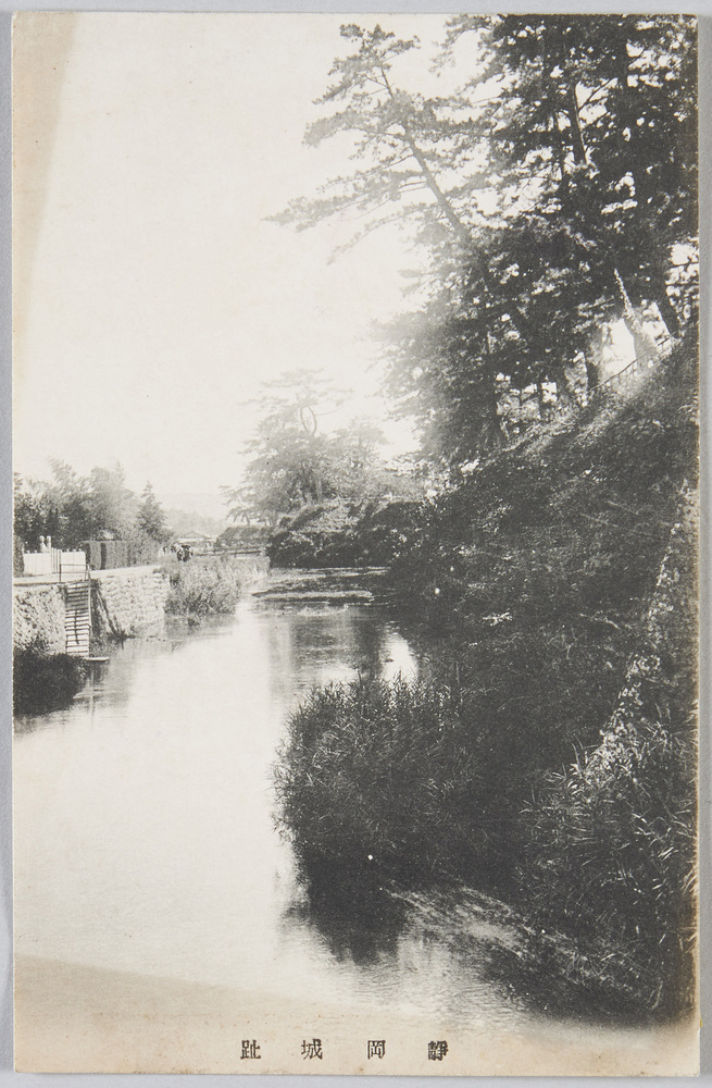 作品画像:静岡城跡
