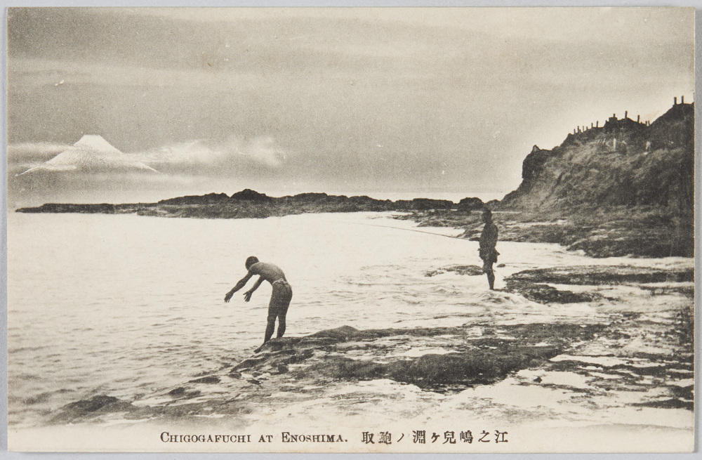 作品画像:江ノ島稚児ケ淵ノ鮑取